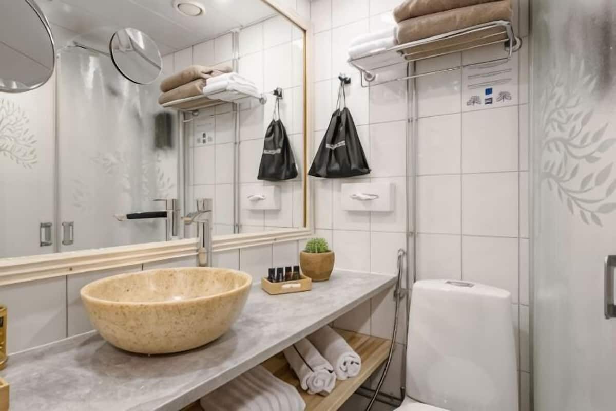 Un baño con un lavabo grande, un espejo, toalleros, una planta pequeña y una zona de ducha.
