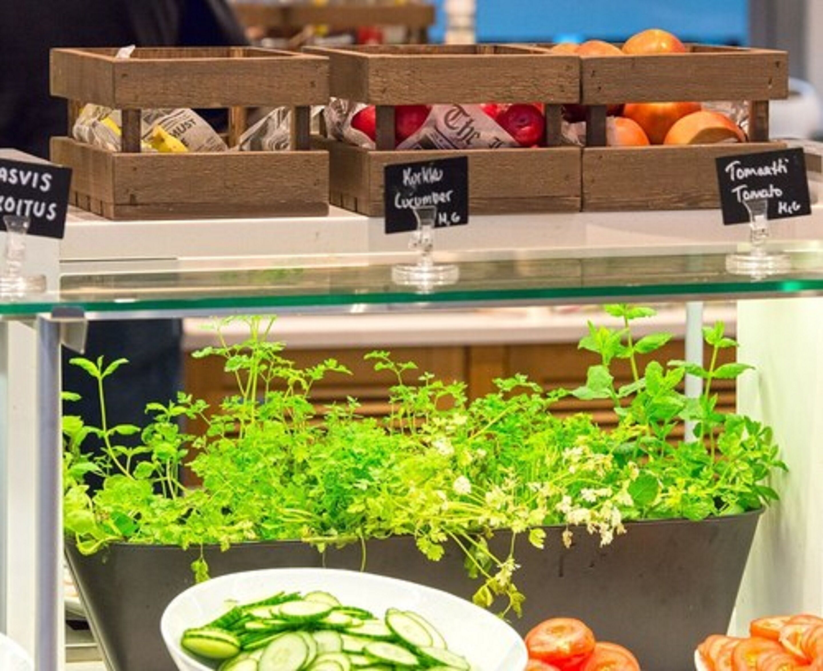 Frisches Obst und Gemüse, darunter Gurken, Tomaten und Kräuter, mit sichtbaren Preisschildern.