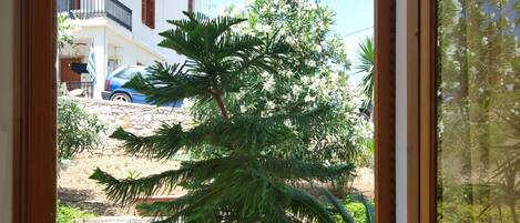 Una puerta abierta que da a un balcón con mesa y sillas, vista a una casa y un árbol.
