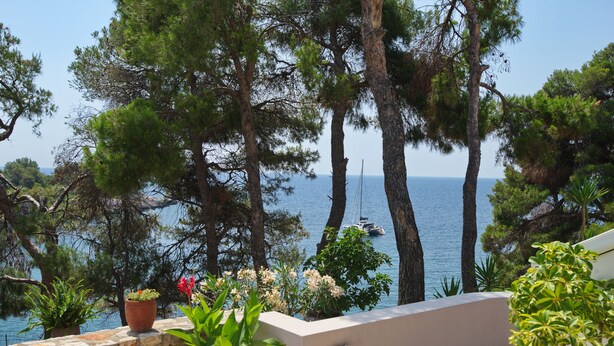 Varanda com vasos de plantas com vista para área costeira com árvores e mar visível.