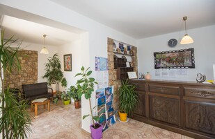 Un área de recepción con pared de piedra, banca de madera, plantas en macetas, un tablón de anuncios y un mostrador de recepción de madera.