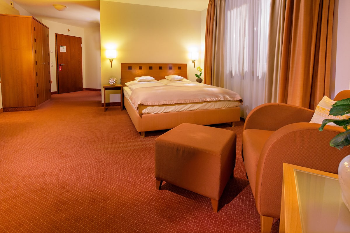 Classic Double Room | Hypo-allergenic bedding, minibar, in-room safe, desk