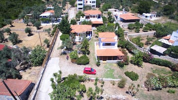 Studio | Garden view