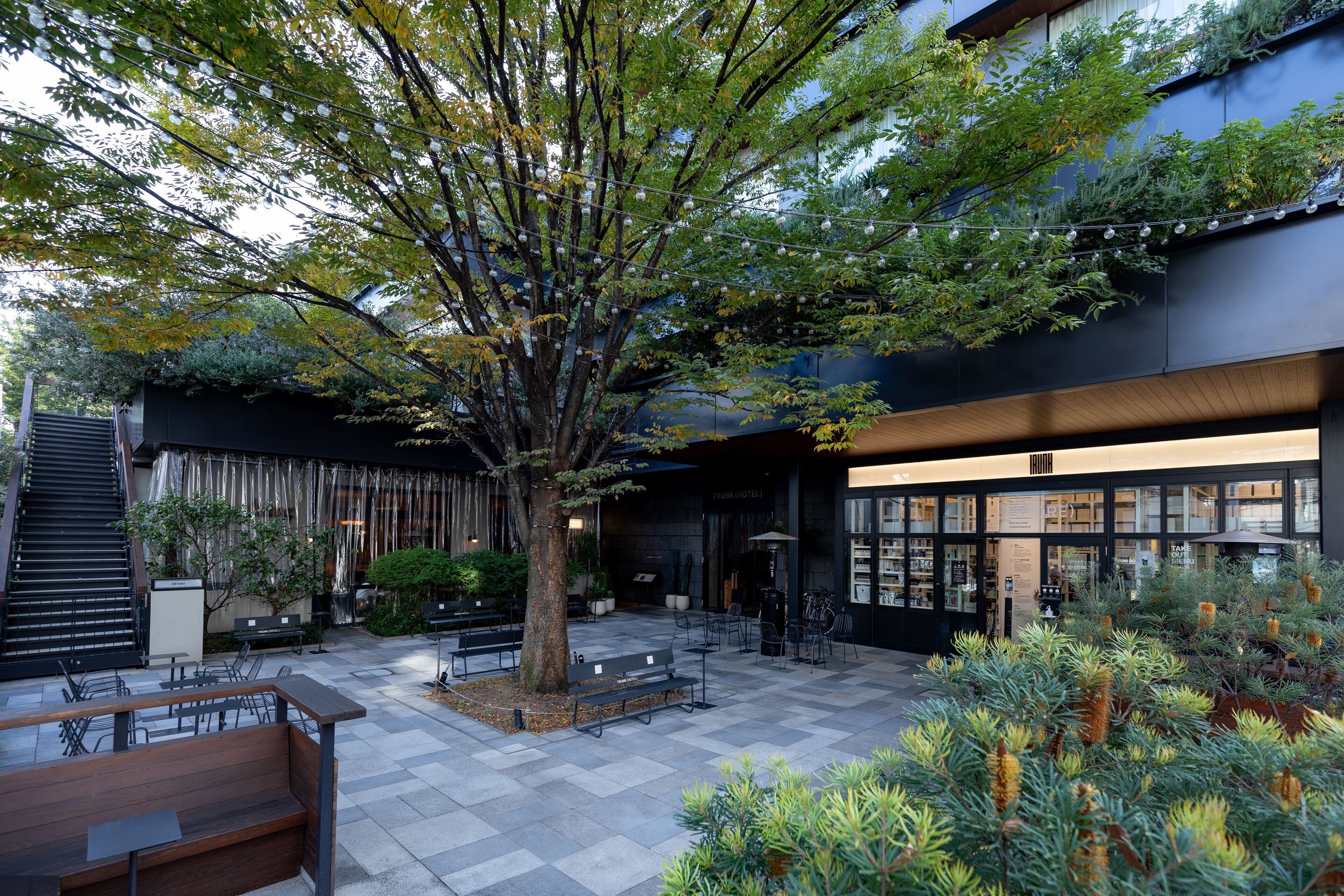 Un espace extérieur aménagé avec des bancs et des tables, entouré d’arbres et de plantes.