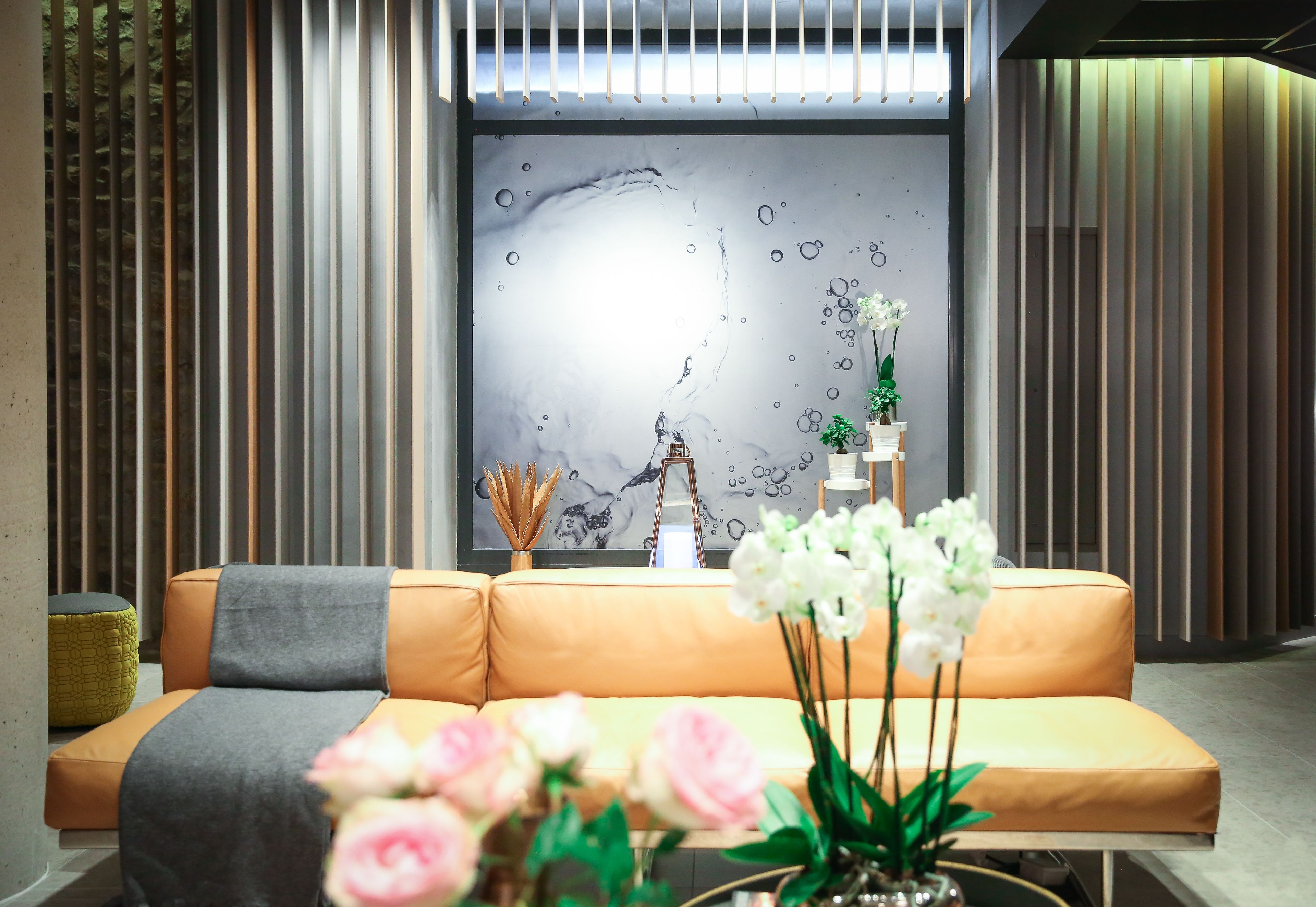 Foto - Novotel Saint Brieuc Centre Gare