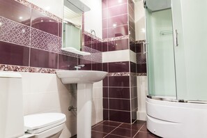 Shower, free toiletries, hair dryer, slippers