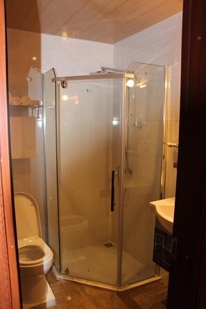 A glass-enclosed shower stall with a toilet to the left. - Hotel Park Green (Poti)