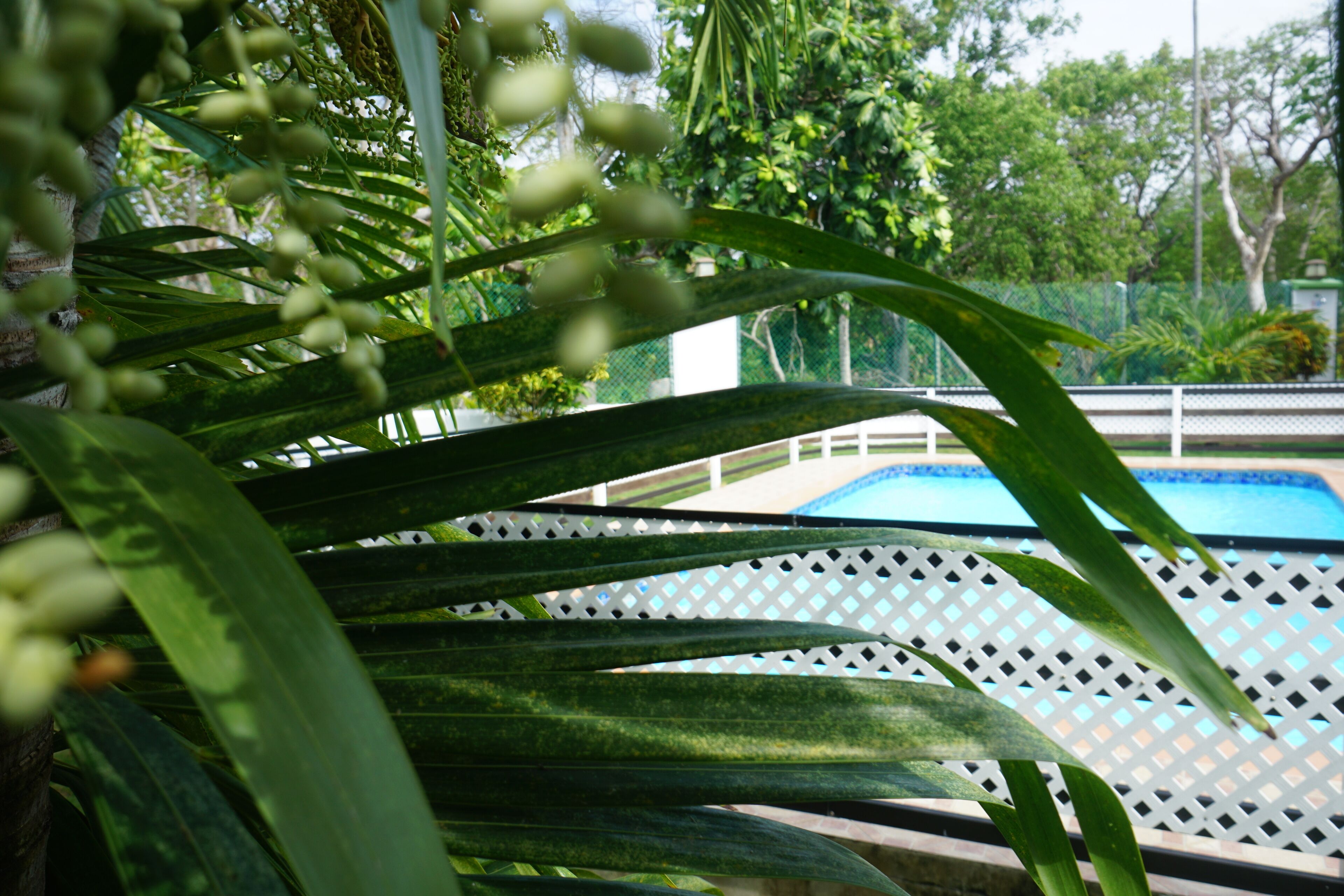 Standard Room, 1 Double Bed, Pool View | Garden view