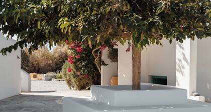 Ploes Seaside Houses