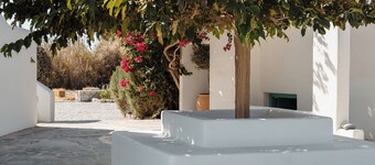 Ploes Seaside Houses