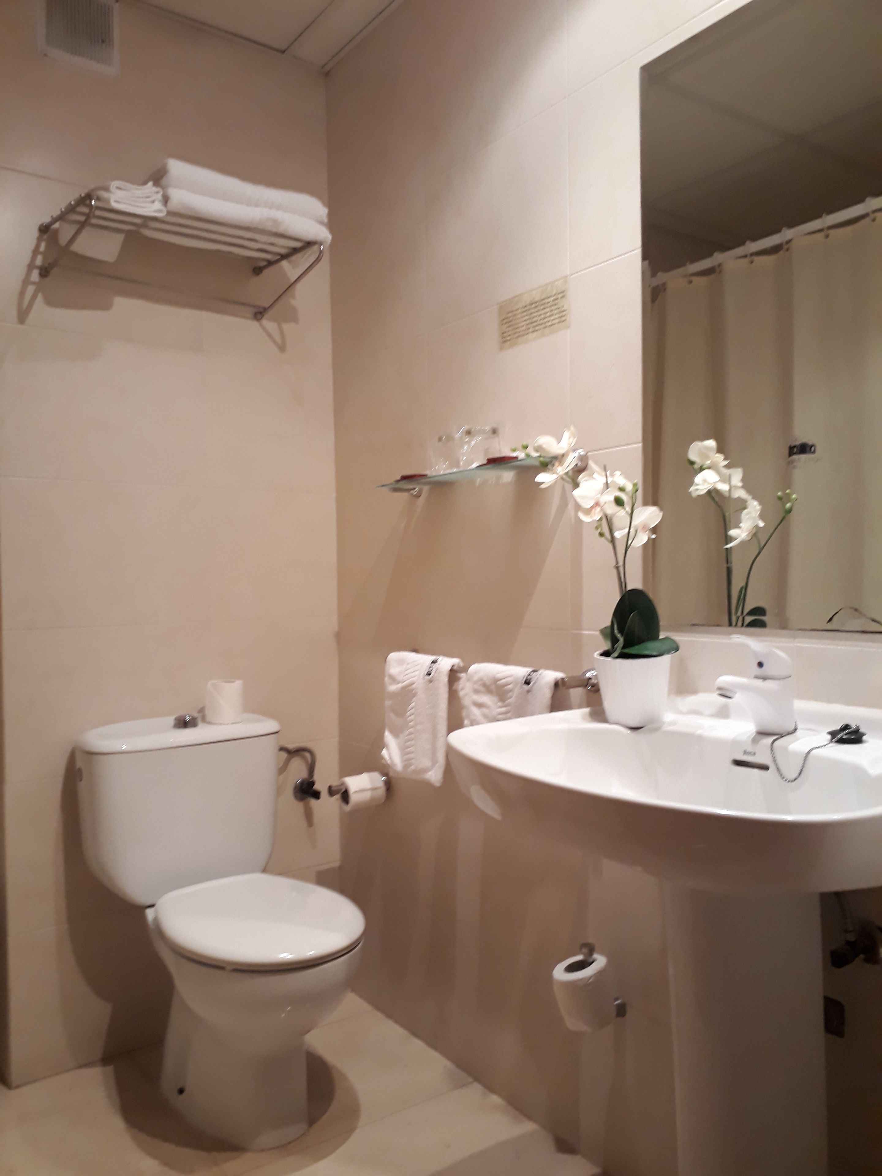 Un bagno con il water, un lavandino e un portasciugamani.