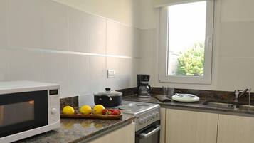 Full-sized fridge, microwave, oven, stovetop