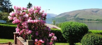 Alba B&B
