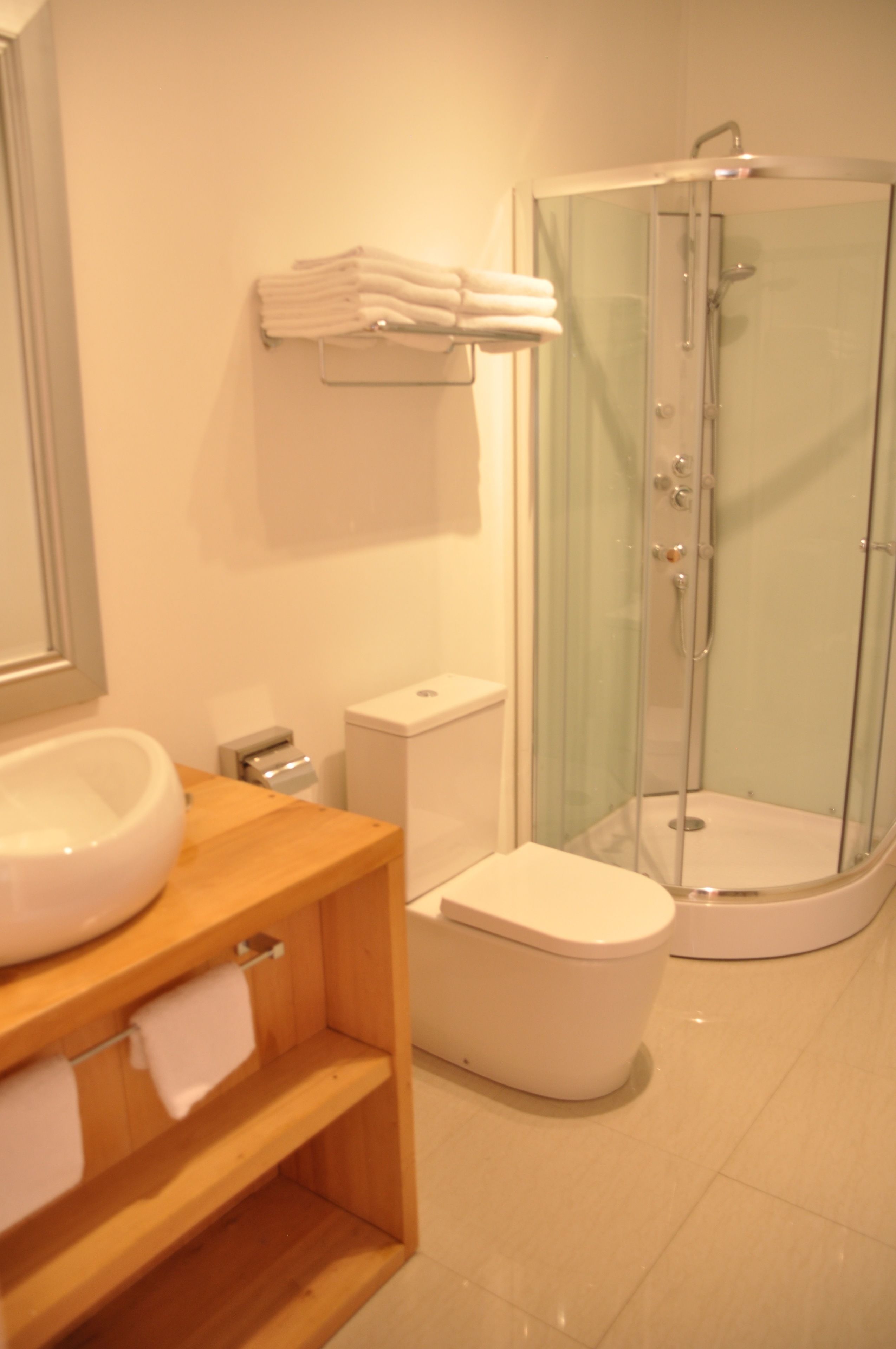 standard double room, 1 bedroom, private bathroom | bathroom | shower, free toiletries, hair dryer, towels