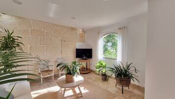 Una sala de estar con pared de piedra, televisor, sofá y varias plantas en macetas.