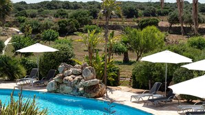 A swimming pool with lounge chairs and umbrellas, surrounded by rocks and greenery.