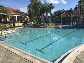 Relax by the rectangular pool surrounded by lounge chairs and umbrellas, amidst palm trees and tropical plants.