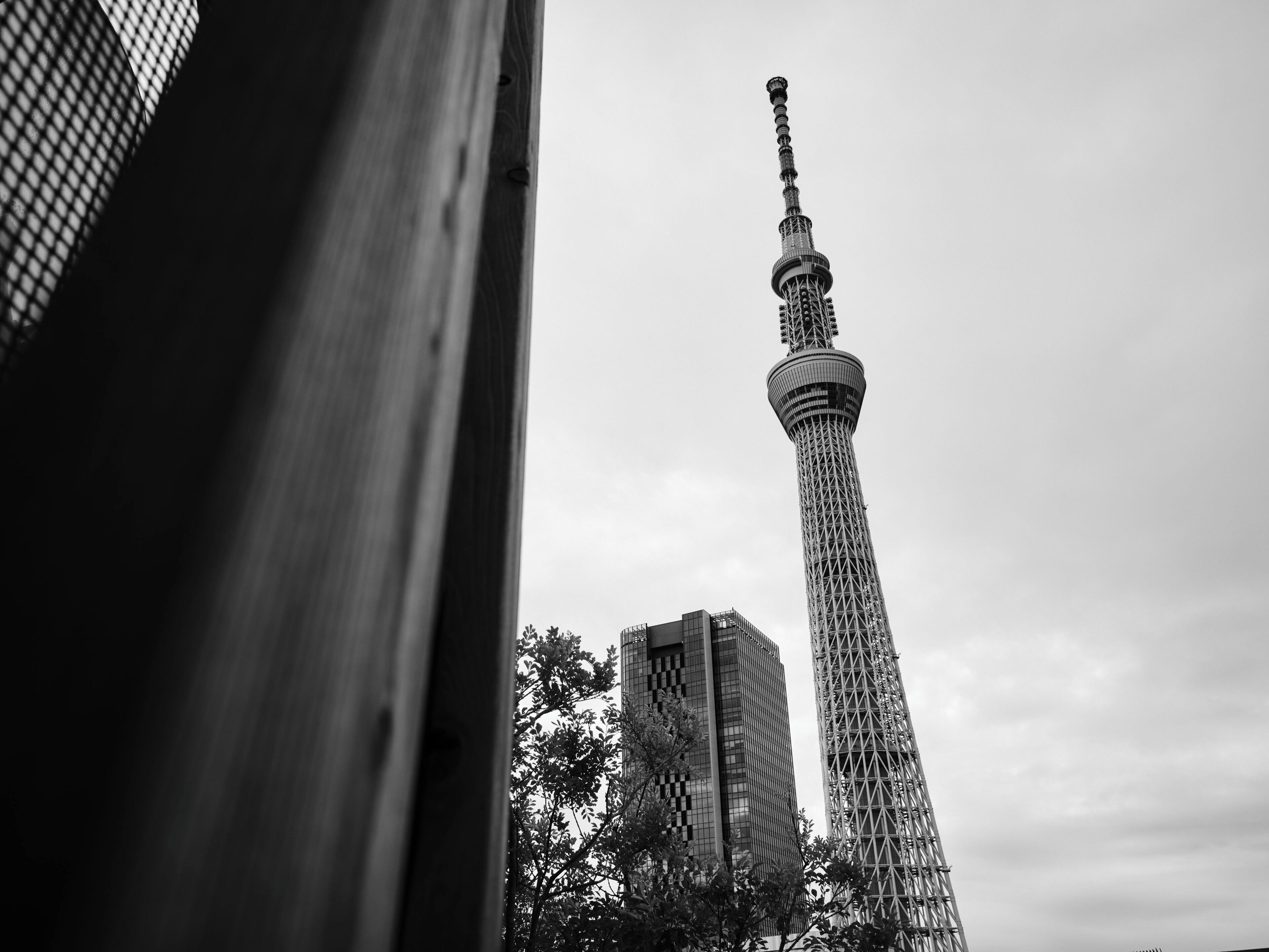 Photo - ONE＠Tokyo by insomnia