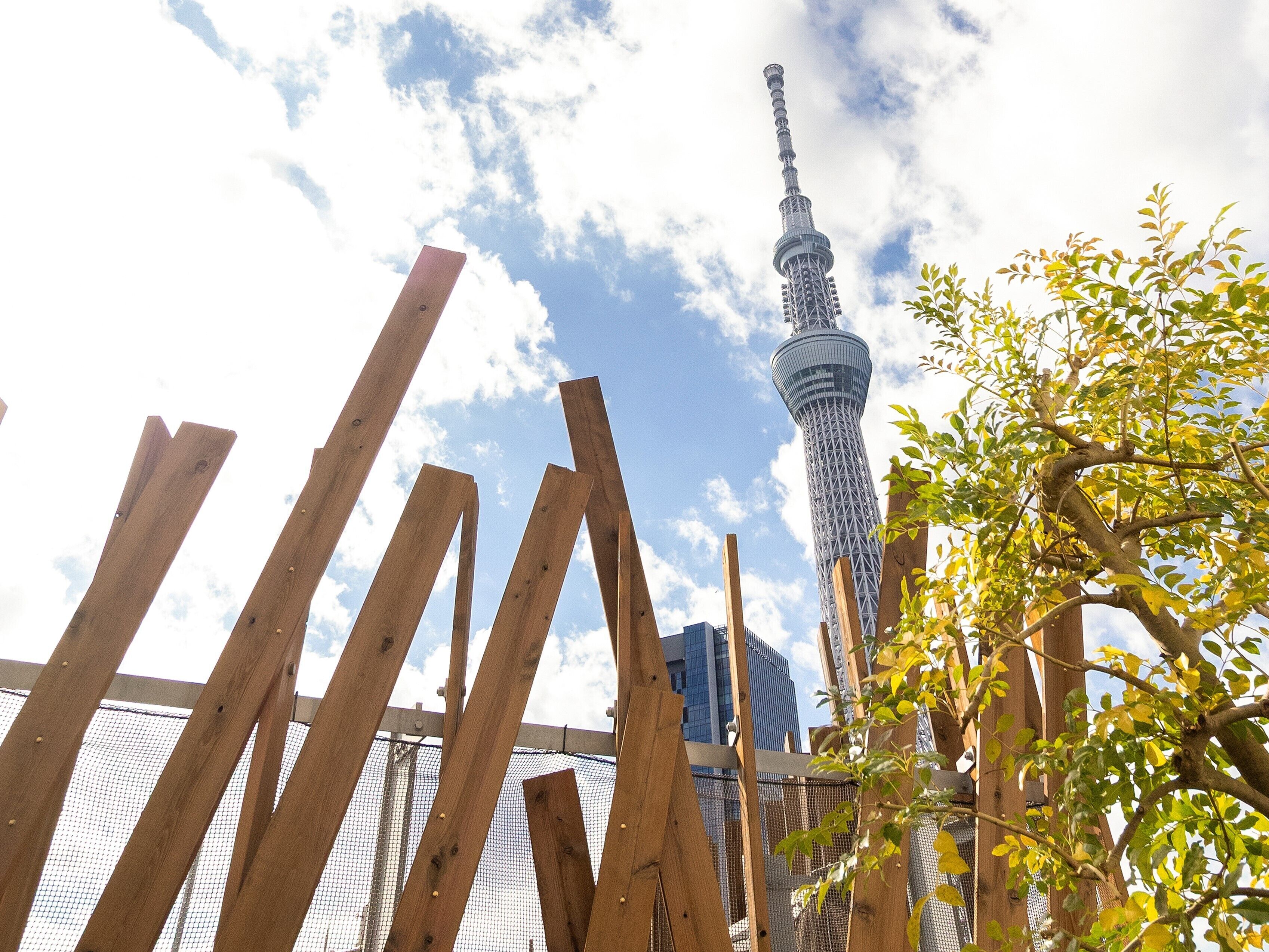 Foto - ONE@Tokyo by insomnia