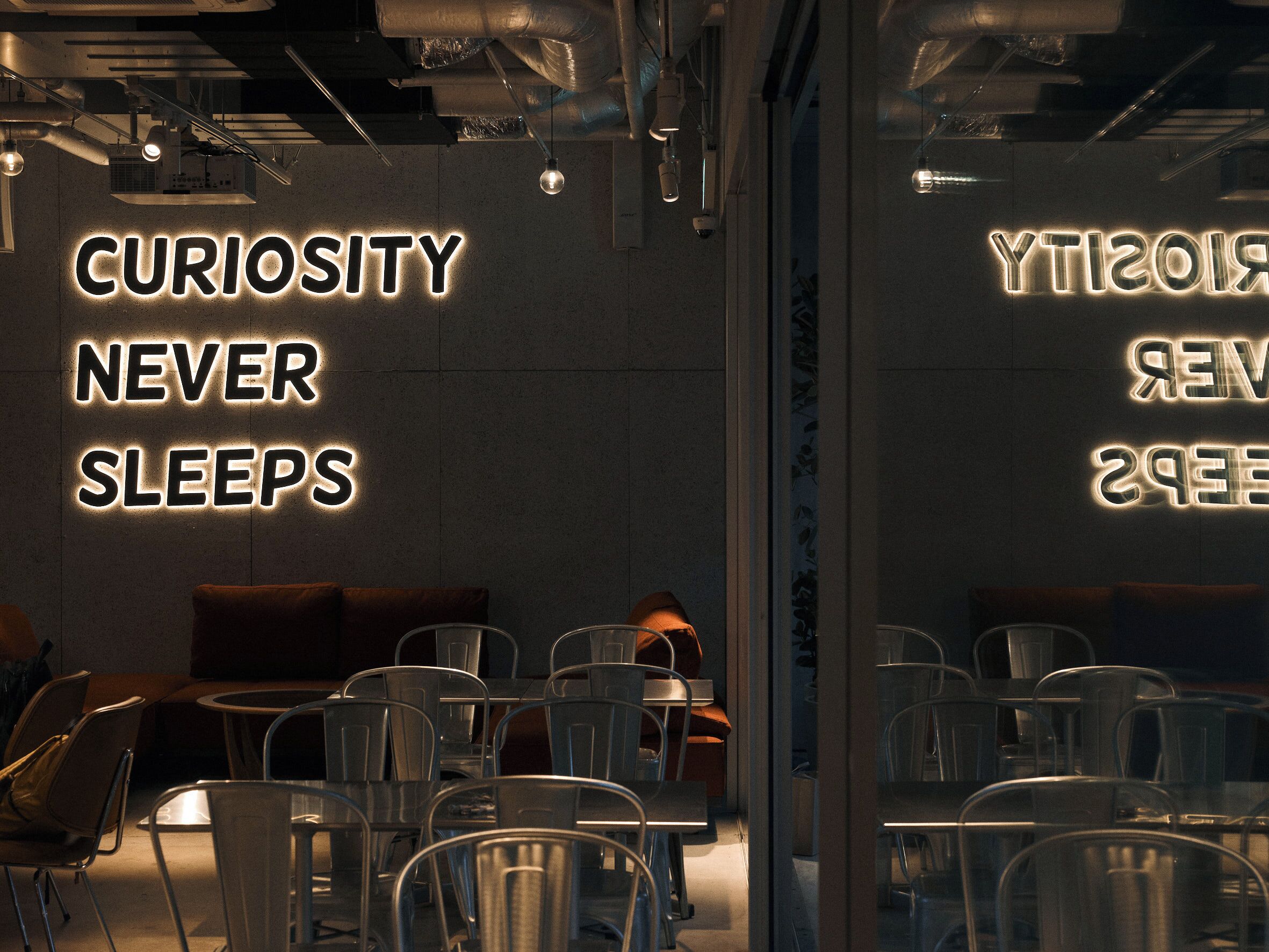 A modern interior with illuminated wall signs reading 'CURIOSITY NEVER SLEEPS' and '2019'.