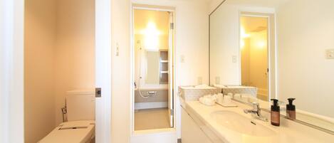 A modern bathroom with a toilet, sink, and mirror.