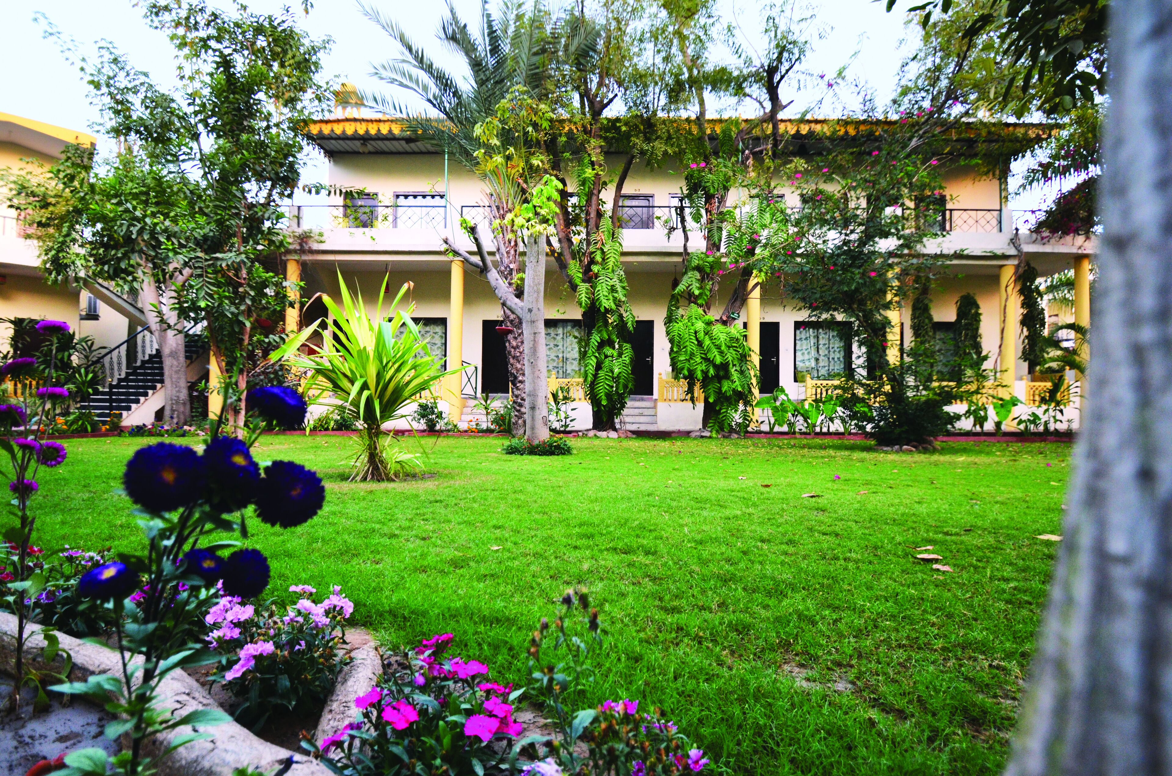 A courtyard with a well-maintained lawn, a variety of flowering plants, and a building with multiple balconies and windows.