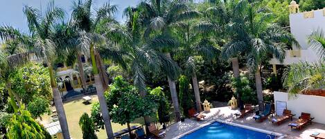 A pool area with lounge chairs and palm trees.