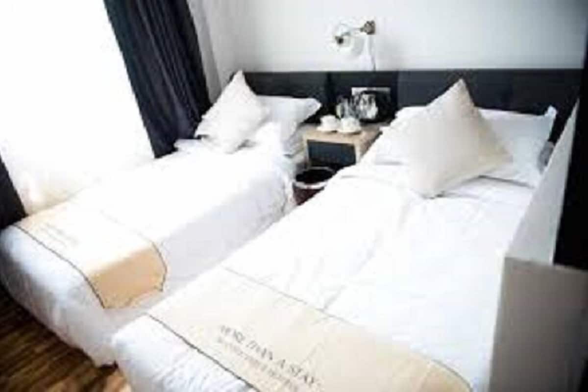 Deluxe Twin (Window) | Iron/ironing board, free WiFi, bed sheets