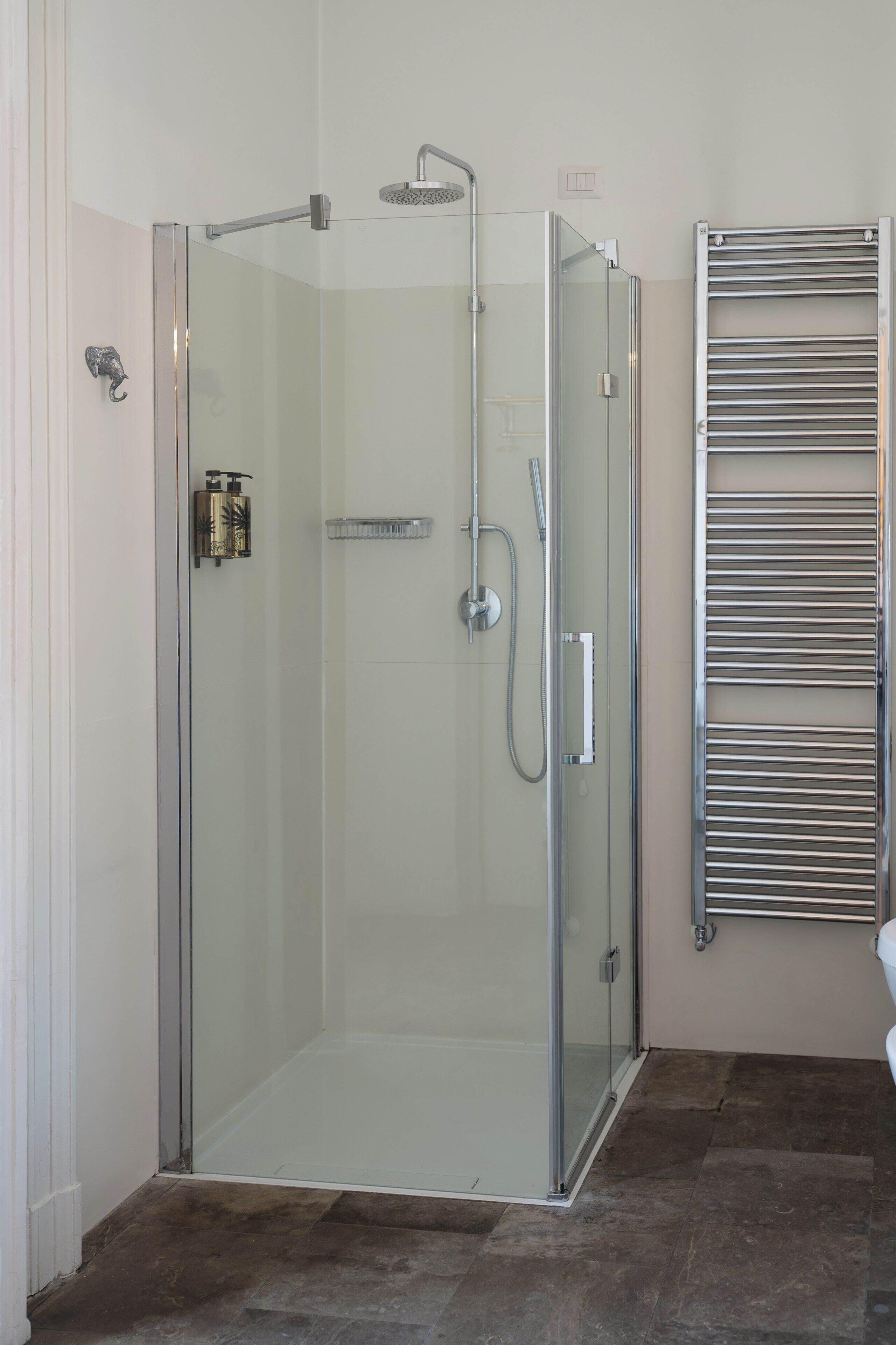 A glass-enclosed shower area with a handheld showerhead, a wall-mounted towel rack, and a glass door.
