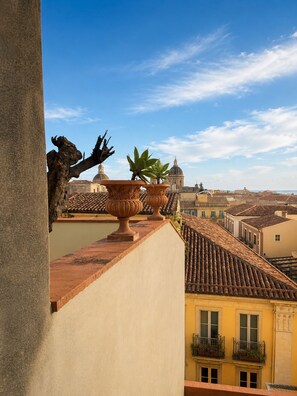 Panorama suite | Terras