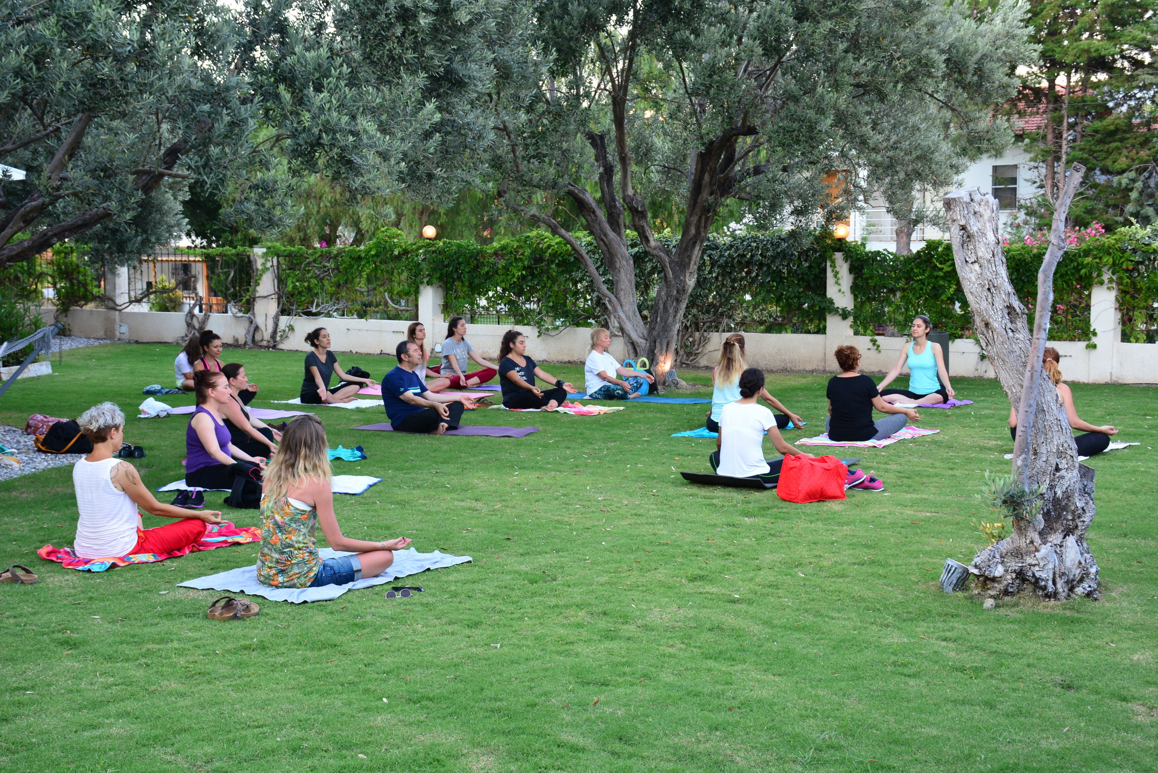 Spor sahası