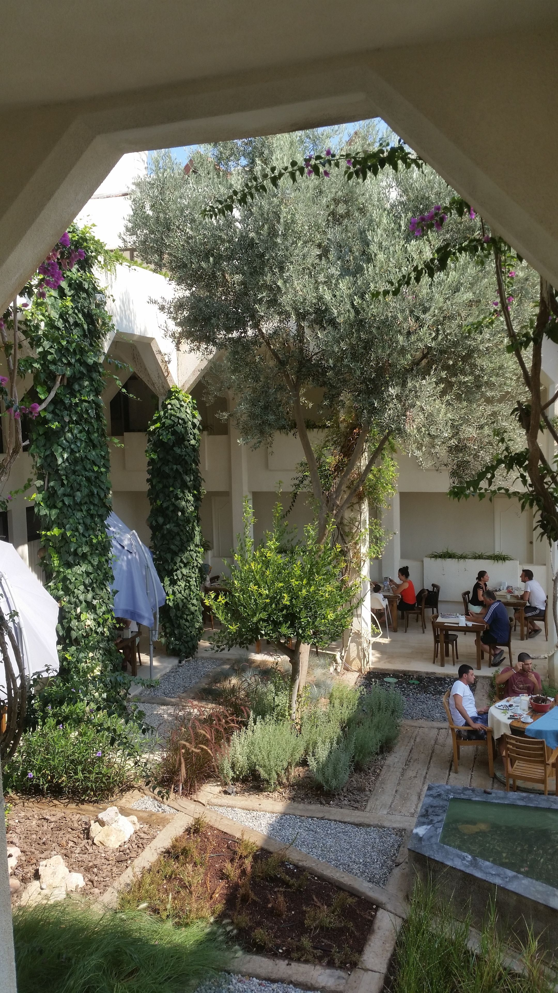 An outdoor seating area with tables and chairs, surrounded by greenery and a small water feature.