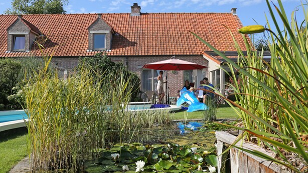 Una casa con techo de tejas rojas, piscina y jardín con nenúfares y pastos altos.