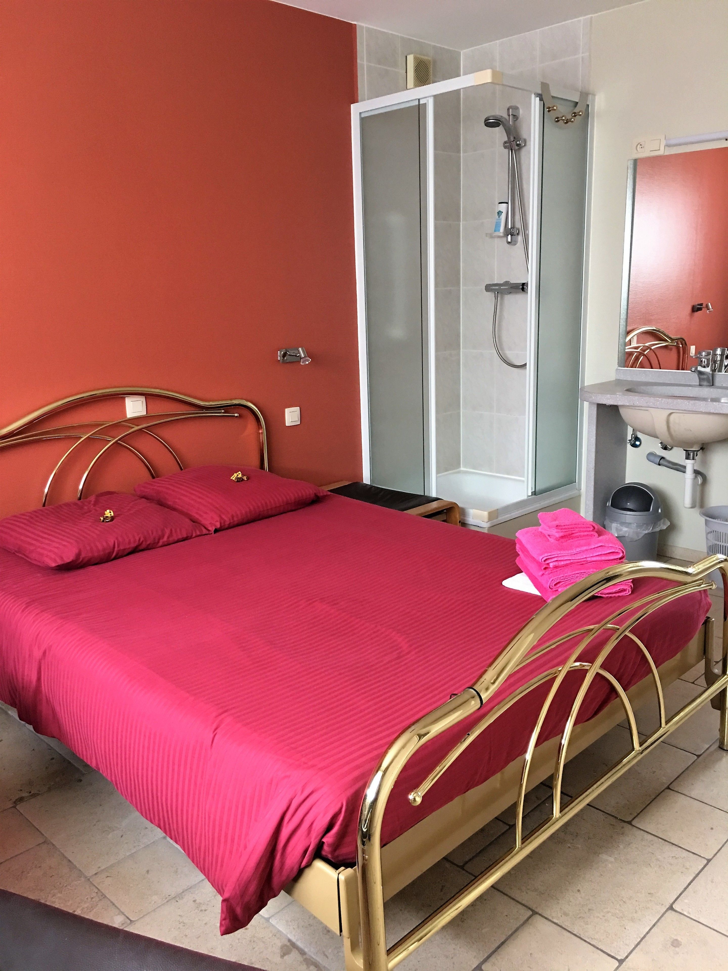 Una habitació amb llit, dutxa i un lavabo.