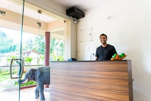 Una recepción con detalles de madera, un panel de vidrio y vistas a un espacio exterior con vegetación.