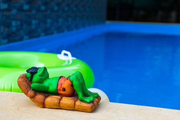 Piscine extérieure, chaises longues