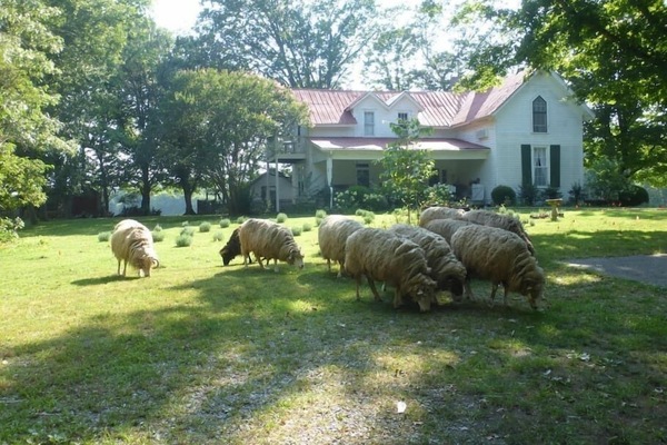 Terrain de l’hébergement