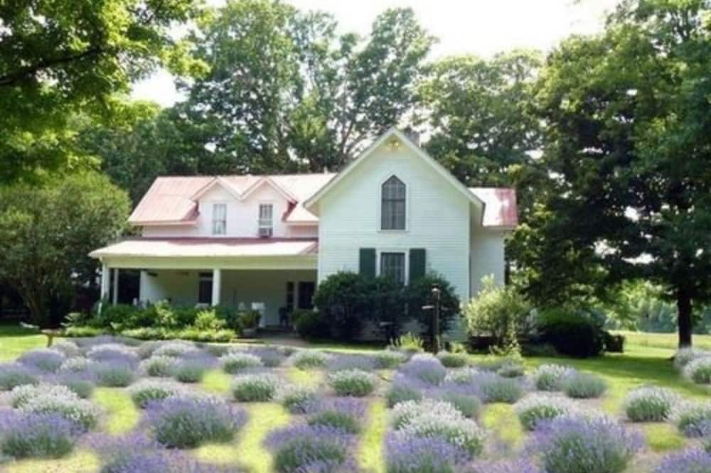 Mulberry Lavender Farm and B&B - Flintville, TN