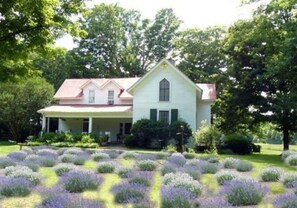 A two-story house with a gabled roof, surrounded by a well-maintained garden with lavender plants. - Mulberry Lavender Farm and B&B (Mulberry)