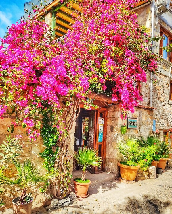 Exterior detail - Parmis Boutique House (Cesme)