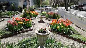 A garden with a gravel path, bordered by flower beds with tulips and other plants. - Moore House Bed and Breakfast (Manhattan)