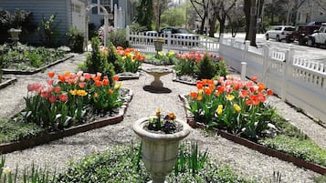 Giardino
