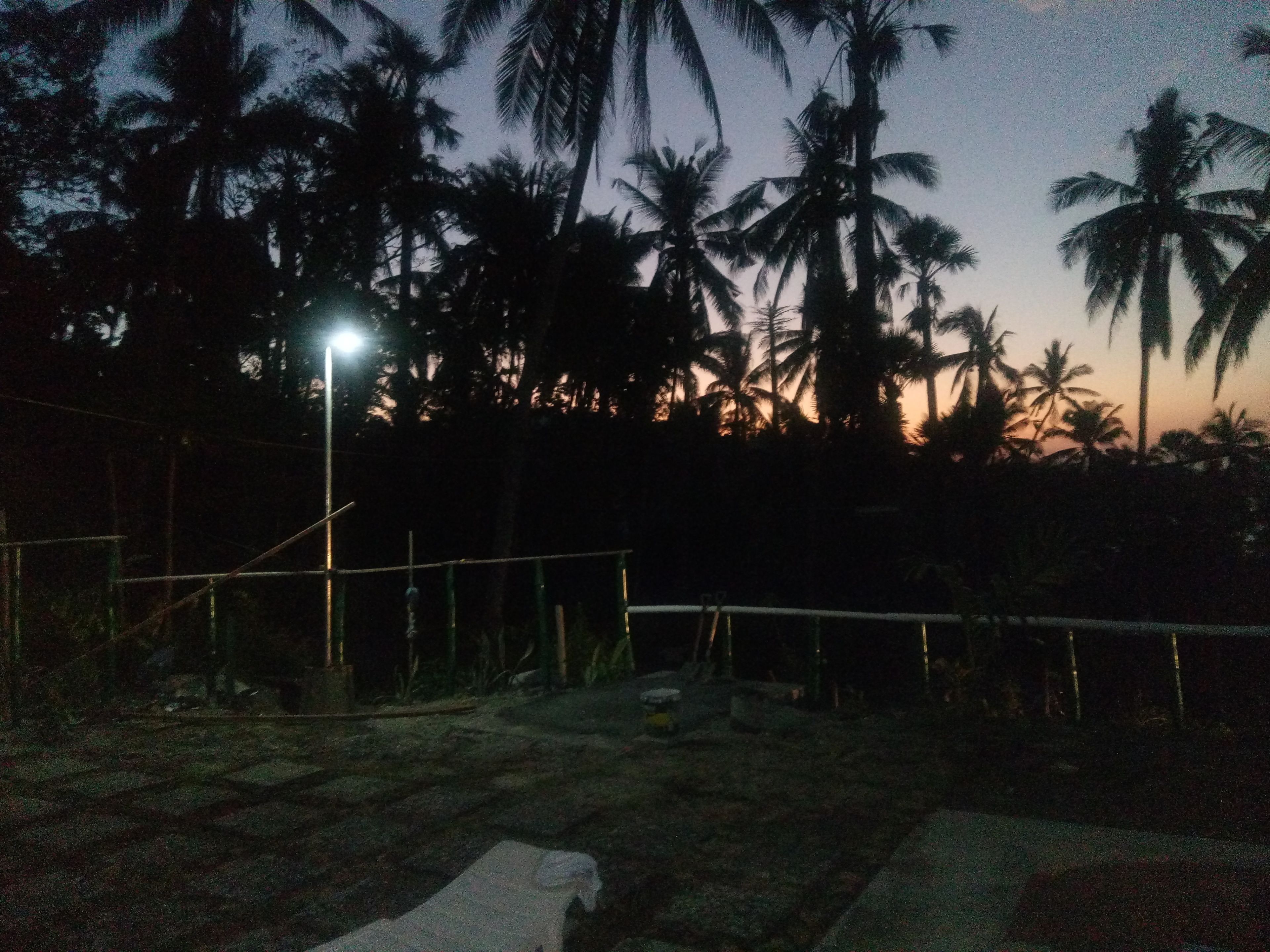 A nighttime scene with a street lamp and palm trees in the background.