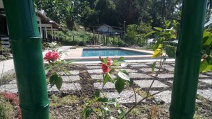Un área de piscina con un sendero de piedra, rodeada de follaje y una estructura con techo de paja.