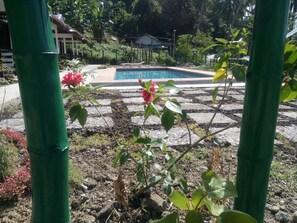 Vista desde la propiedad