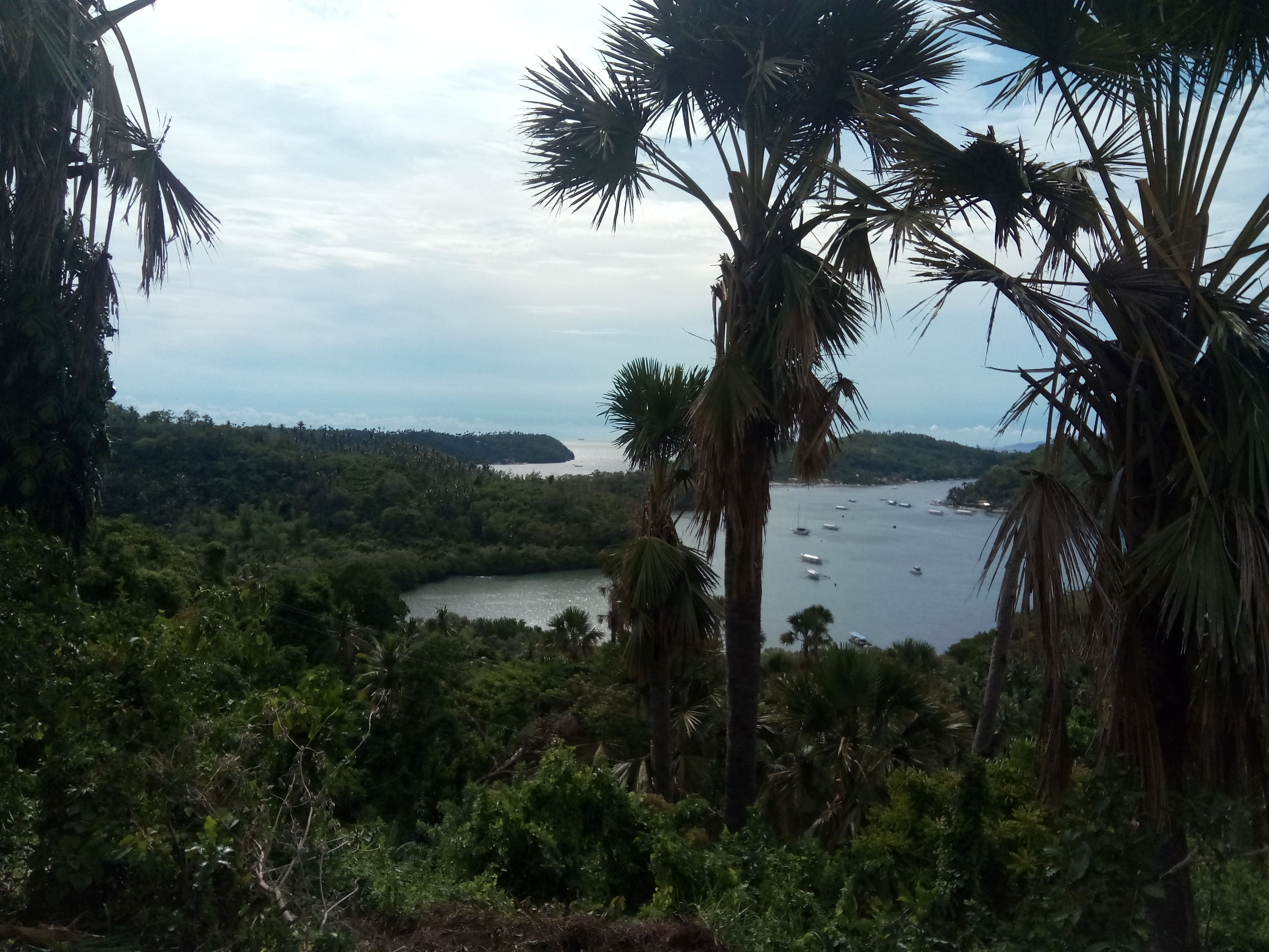 A coastal landscape with dense greenery, a body of water, and boats.