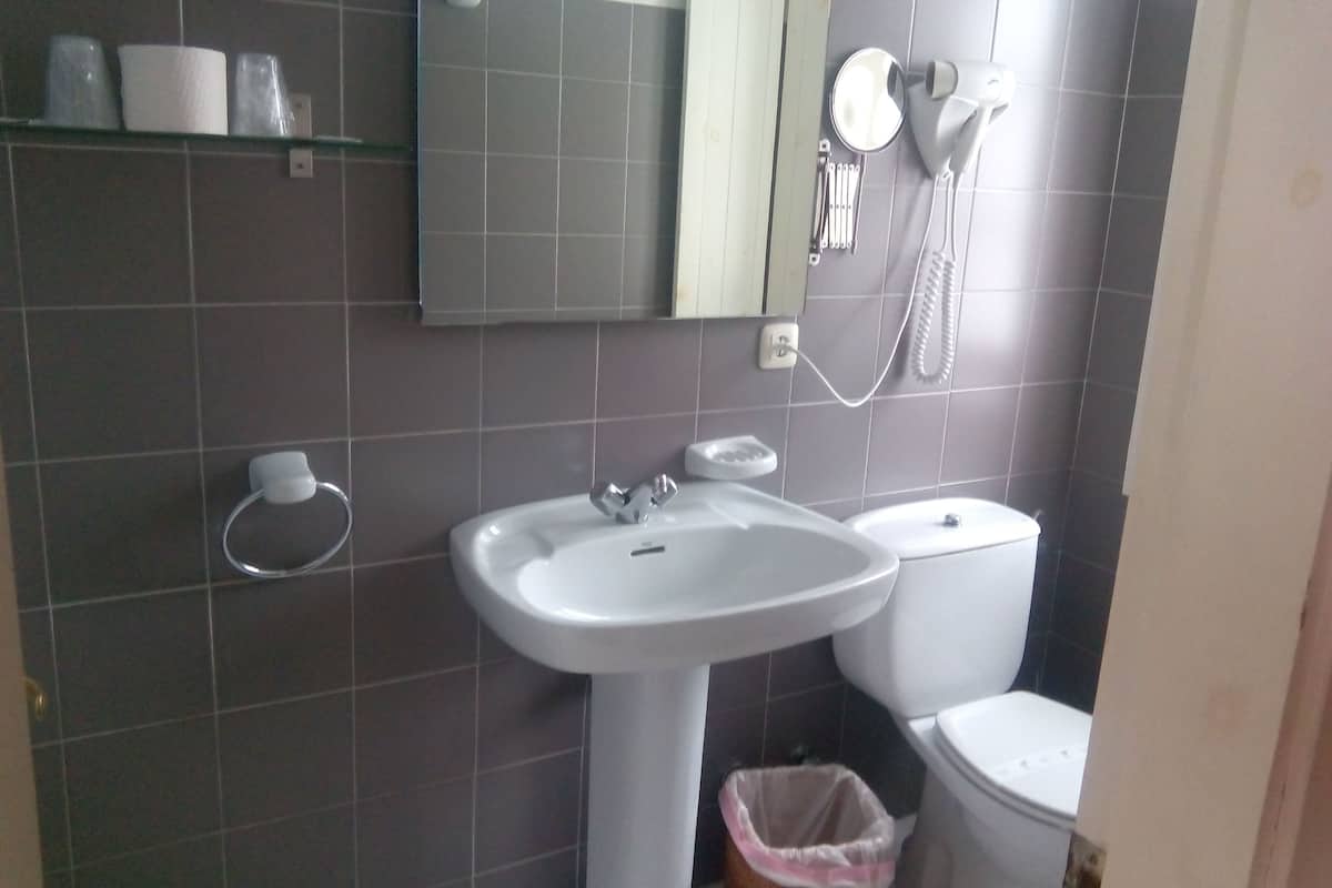 double or twin room | bathroom | combined shower/bathtub, free toiletries, hair dryer, bidet