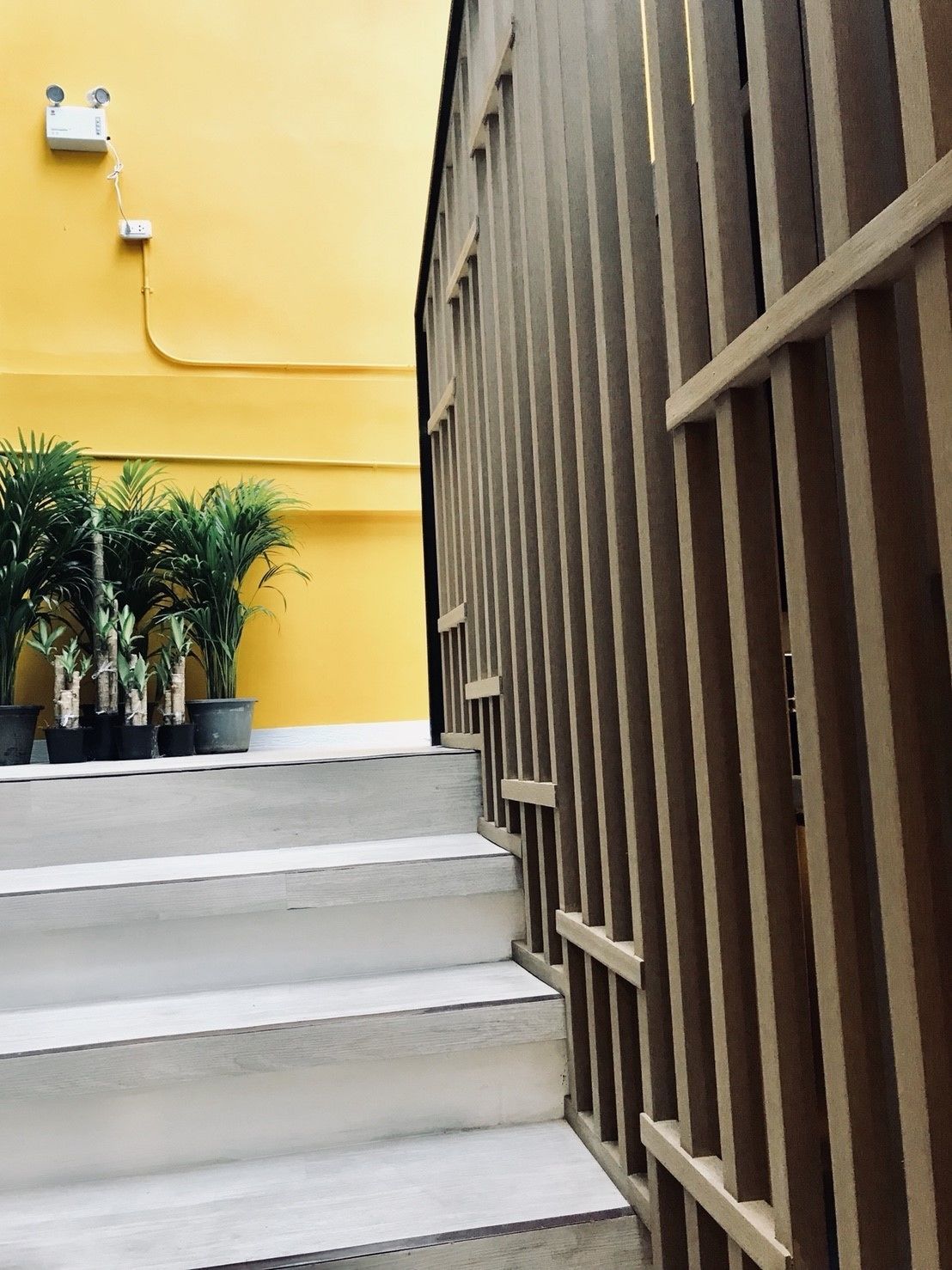 Foto - Kinnon Deluxe Hostel Coworking Cafe