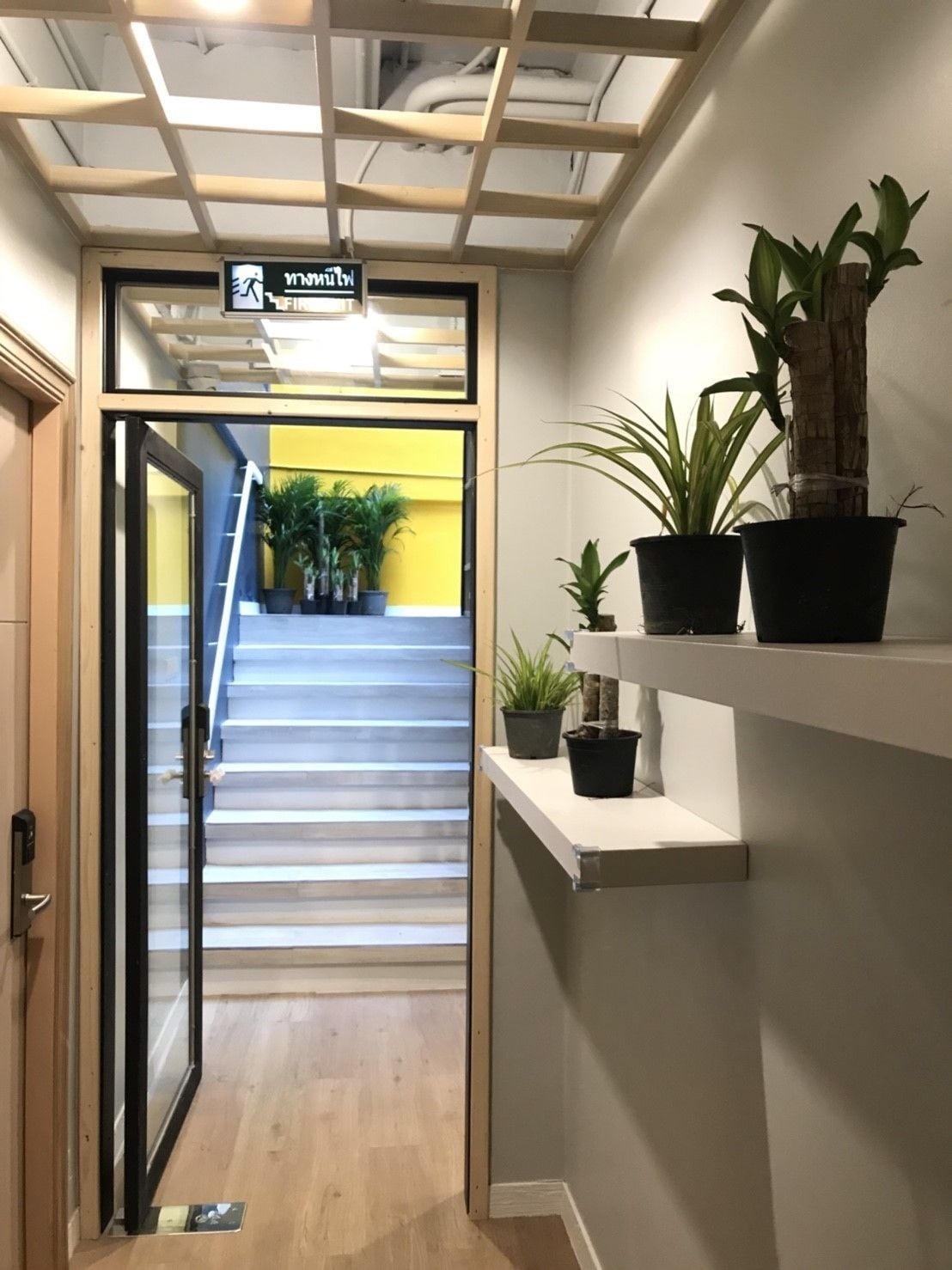 Foto - Kinnon Deluxe Hostel Coworking Cafe