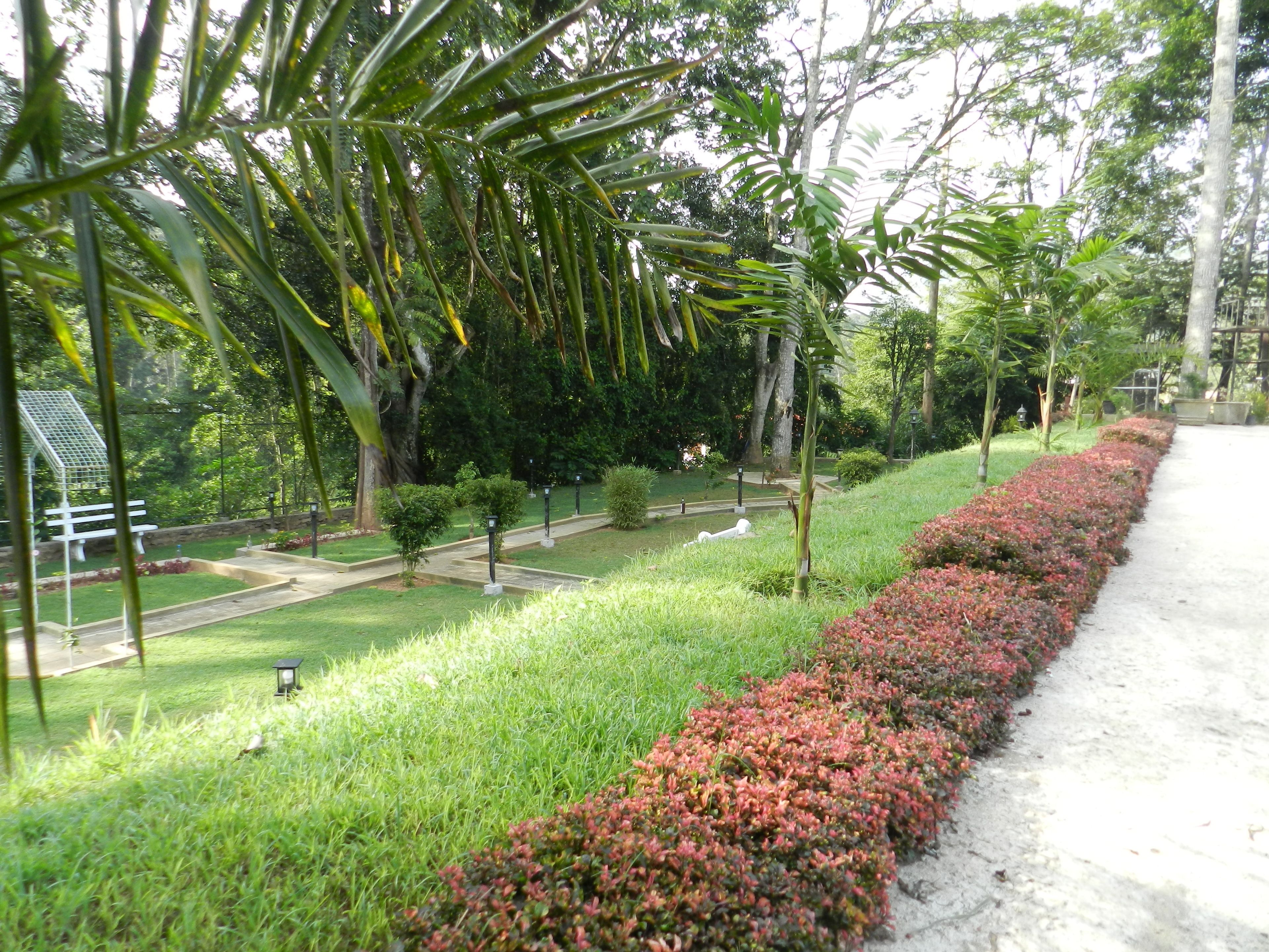 A landscaped garden with a pathway, green grass, and red flowering plants.